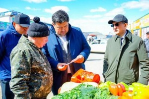 Астанада азық-түлік бағасына бақылау күшейтілді