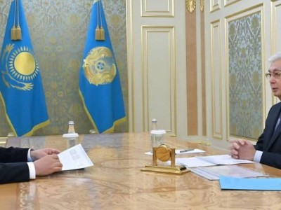 Мемлекет басшысы Жанат Элимановты қабылдады