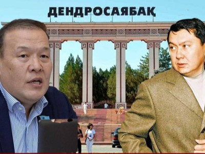 Мәжіліс депутаты Рахат Әлиевтың адамдары қысым көрсеткенін айтты (ВИДЕО)