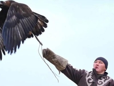 Ұлттық спорт «Салбурын» жайлы не білесіз?