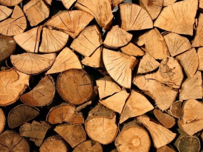 Қазақстанда ағаш материалдарын таңбалау жүйесі іске қосылуда