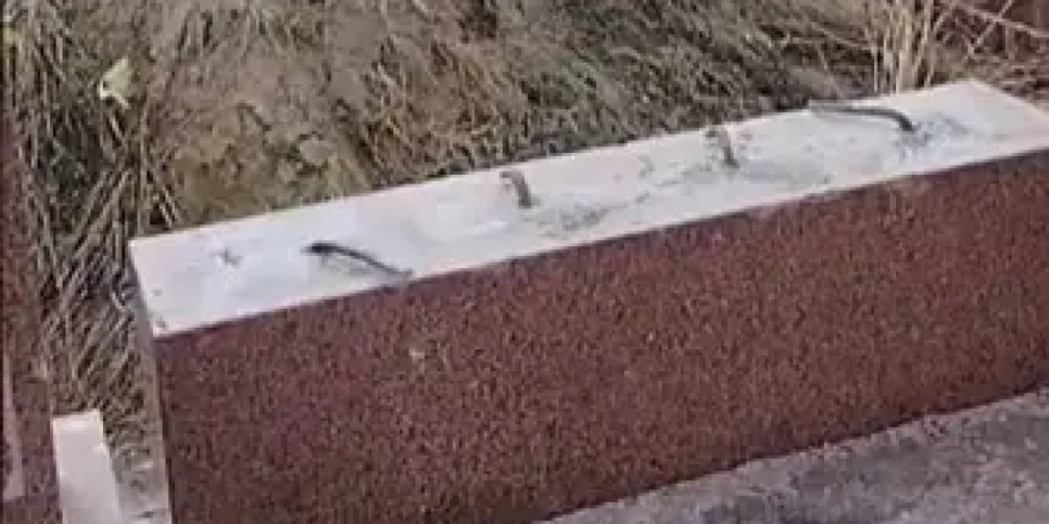 Алматы облысында зираттың құлыптастарын қиратқан күдікті ұсталды (ВИДЕО)