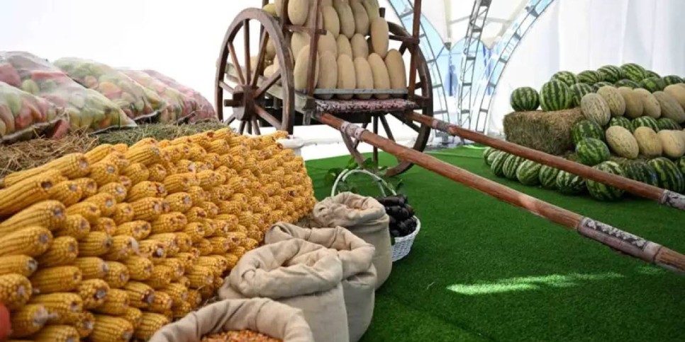 Қазақстанның ауыл шаруашылығы өнімдері 80-нен астам елге экспортталады – Президент