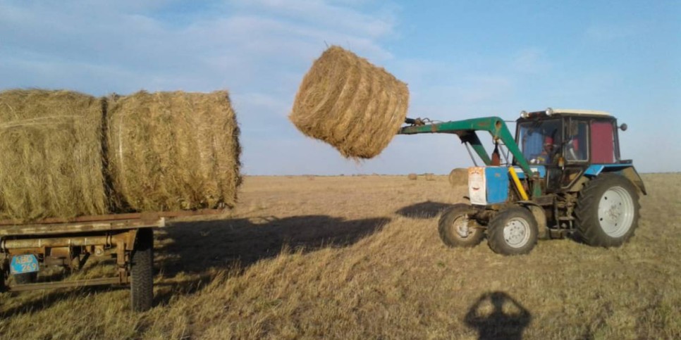 Елімізде шөп шабу науқанына қосымша жанармай бөлінеді
