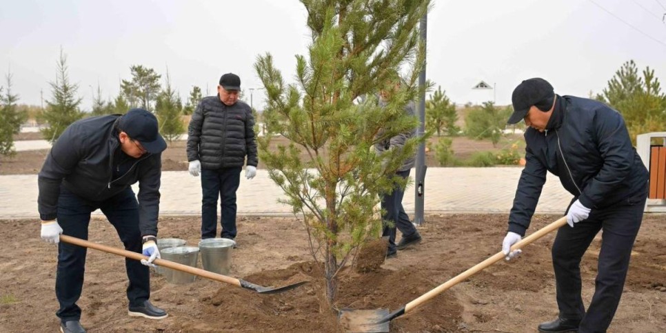 Таза Қазақстан: Абай облысында 5 мың түп ағаш көшеттері отырғызылды